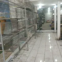 لیست قیمت برخی اجناس لوازم درارزانسرای پرنده آیهان|پرنده|خوی, |دیوار