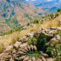 میش مدتی