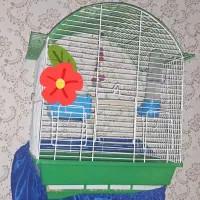 قفس پرنده درحد سالم و تمیز