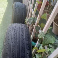 ۴حلقه لاستیک سمند پهن ۱۵/۶۰/۲۰۵ رازی پنچری نرفته