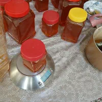 عسل طبیعی اعلا  به قیمت عمده|خوردنی و آشامیدنی|سهند, |دیوار