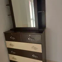 دلاور اینه ریلی پنج کشو