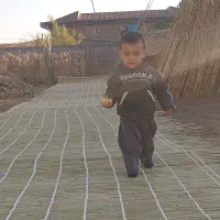 کارگاه بافت