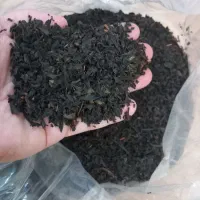 چای بهاره شمال