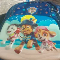 فروش تعدادی کیف|حراج|شیراز, شهرک والفجر|دیوار