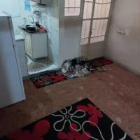 خونه ۴۵متری همکف