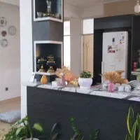 اجاره حسن رود|اجارهٔ خانه و ویلا|بندر انزلی, لیچارگی حسن رود|دیوار