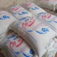 طارم کشت دو با چک ۳ ماهه