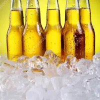 نیروی ساده و ماهر راننده وحراست کارخانه باجای خواب