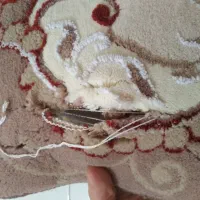 فرش کرم گردویی|فرش|آران و بیدگل, |دیوار