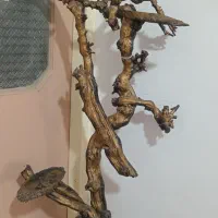 تنه درخت شیک تزئینی