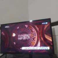 تلویزیون