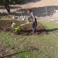 شخم زدن باغ و دور درختان