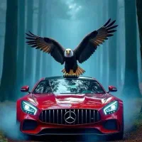 سئوکار حرفه ای