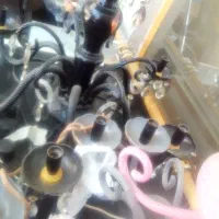 دو عدد لوستر|لوستر و چراغ آویز|اراک, |دیوار