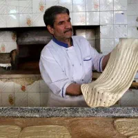 شاطر و پاچال دار نیازمندیم