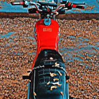 هندا شکاری 150|موتورسیکلت|کرمان, |دیوار