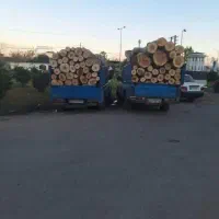 قطع و خرید چوب درختان باغی و ساختمانی با قیمت بالا