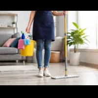 یک خانم مجردجهت نظافت منزل هفته ای 3روز