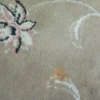 شناسنامم‌گمشده مریم برغمدی