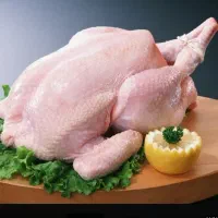 گوشت بوقلمون کشتار روز کالابرگ