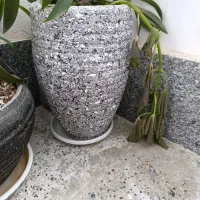 گلدان سالم بزرگ و کوچک|گل و گیاه طبیعی|گلبهار, شهر جدید گلبهار|دیوار