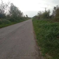 زمین کشاورزی سنتیواقع در اتوبان سراوان به فومن