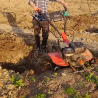 شخم زنی با کولتیواتور تالش لیسار