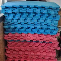 تاتمی ورزشی