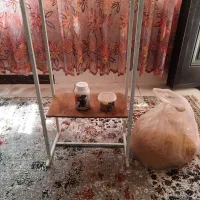عروس‌هلندی ‌لوتینو|پرنده|شاهدشهر, |دیوار