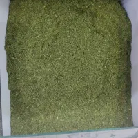 سبزیجات خشک نعناع وشوید