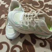 کفش شیک|کیف، کفش، کمربند|شیراز, پودنک|دیوار