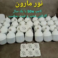 کارگاه تولیده دستمال کاغذی و شوینده و لامپ کم مصرف