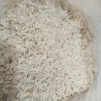 برنج طارم