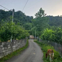 زمین در تالش کوهپایه جنگلی مسکونی اسالم طولارود|فروش زمین و ملک کلنگی|تالش, طولارود|دیوار