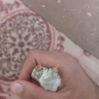 فنچ|پرنده|کرمان, |دیوار