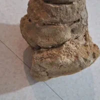 فسیل