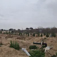 فروش-600-متری-در-ترشنبه