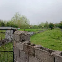 چندین مسکونی باغ جاده ماسال گورابزرمیخ مبین بالو|فروش زمین و ملک کلنگی|گوراب زرمیخ, |دیوار