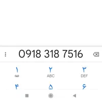 خط دائمی رند