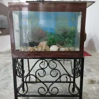اکواریوم با پایه|ماهی|مشهد, شهرک بهارستان|دیوار