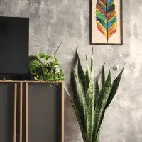 کمد و کابینت