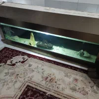 آکواریوم دو متری