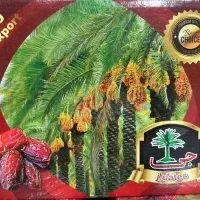 خرمای پیارم درجه ۱