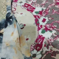 انواع لباس با چرخ  پذیرفته میشه خاش ، نصرت اباد