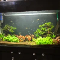 آکواریوم شیشه خم