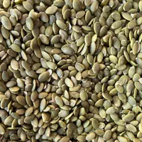 مغز کدو چینی|عمده‌فروشی|ری, منصوریه منگل|دیوار