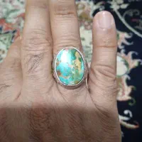 سهره|پرنده|ایلخچی, |دیوار