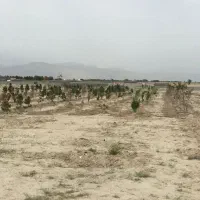 زمین قشلاق مهرچین ۷۵۰متر|فروش زمین و ملک کلنگی|شهریار, بکه|دیوار