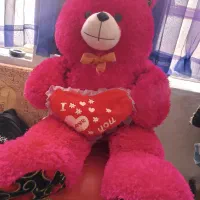 شاسخین سالم نونو